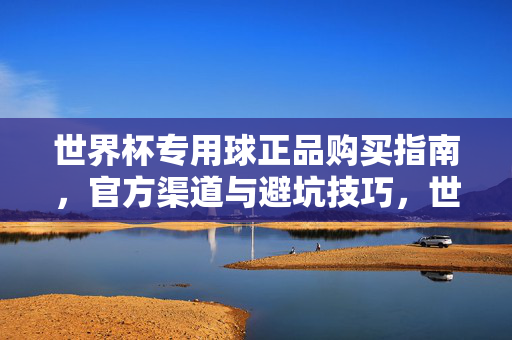 世界杯专用球正品购买指南,官方渠道与避坑技巧,世界杯官方用球正品购买指南,官方渠道避坑全攻略