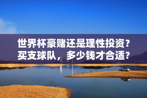 世界杯豪赌还是理性投资?买支球队,多少钱才合适?世界杯买球队,豪赌还是理性投资?多少钱才合适?