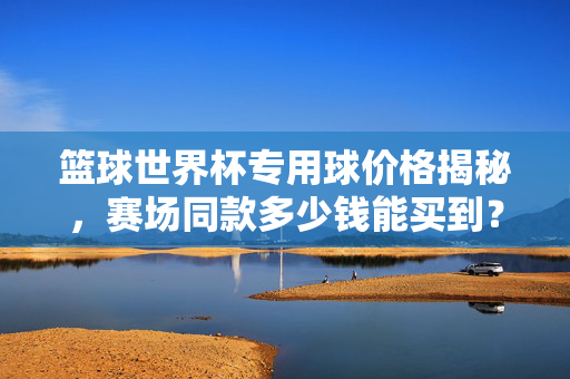 篮球世界杯专用球价格揭秘,赛场同款多少钱能买到?篮球世界杯赛场同款球价格揭秘,多少钱能买到?