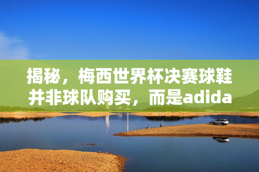 揭秘，梅西世界杯决赛球鞋并非球队购买，而是adidas的顶级定制，揭秘，梅西世界杯决赛球鞋非球队购买，系adidas顶级定制