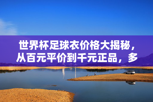 世界杯足球衣价格大揭秘,从百元平价到千元正品,多少钱能买到?世界杯足球衣价格大揭秘,百元平价到千元正品,多少钱能买到?