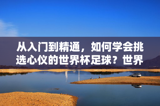 从入门到精通，如何学会挑选心仪的世界杯足球？世界杯足球挑选，从入门到精通