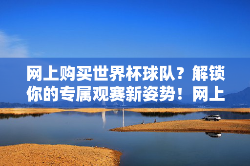 网上购买世界杯球队？解锁你的专属观赛新姿势！网上购买世界杯球队，解锁专属观赛新姿势