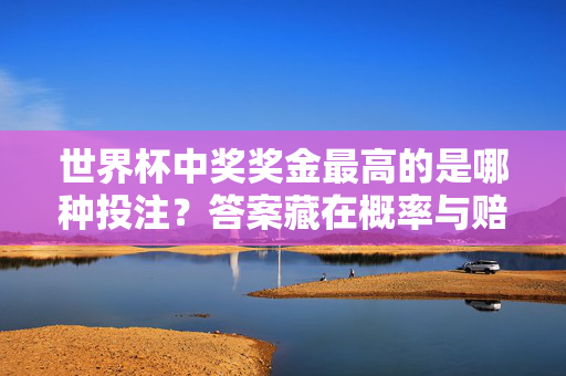 世界杯中奖奖金最高的是哪种投注?答案藏在概率与赔率的游戏里,世界杯最高奖金投注,概率与赔率的游戏