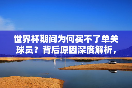 世界杯期间为何买不了单关球员？背后原因深度解析，世界杯买不了单关球员？背后原因深度解析