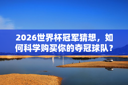 2026世界杯冠军猜想,如何科学购买你的夺冠球队?2026世界杯冠军猜想,科学购买夺冠球队