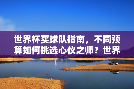 世界杯买球队指南,不同预算如何挑选心仪之师?世界杯买球队指南,不同预算如何挑选心仪之师