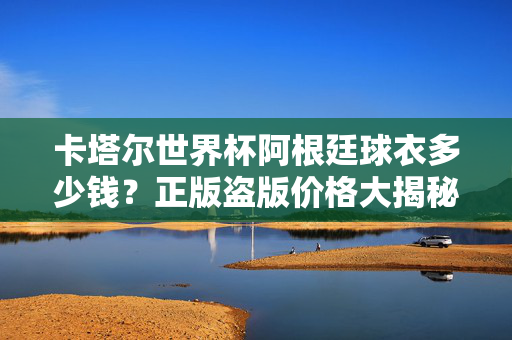 卡塔尔世界杯阿根廷球衣多少钱？正版盗版价格大揭秘，购买渠道与避坑指南，卡塔尔世界杯阿根廷球衣价格大揭秘，正版盗版差价、购买渠道与避坑指南