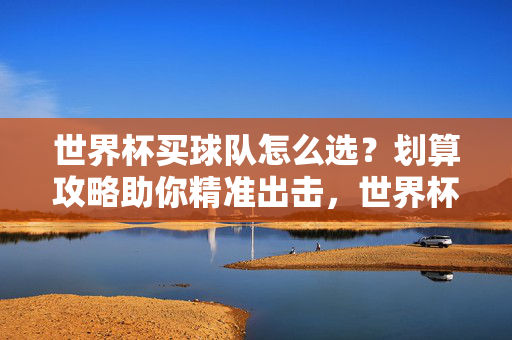 世界杯买球队怎么选？划算攻略助你精准出击，世界杯买球队怎么选？划算攻略助精准出击