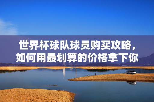 世界杯球队球员购买攻略,如何用最划算的价格拿下你的心头好?世界杯球员购买攻略,最划算价格拿下心头好