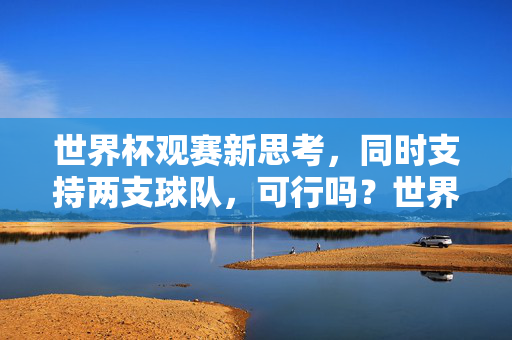 世界杯观赛新思考,同时支持两支球队,可行吗?世界杯观赛新思考,同时支持两支球队,可行?