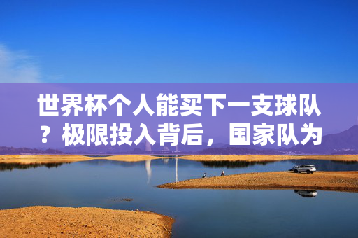 世界杯个人能买下一支球队?极限投入背后,国家队为何不能被标价?国家队为何不能被标价?世界杯个人极限投入之问