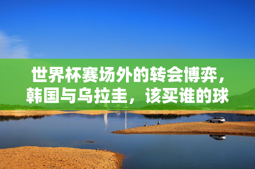 世界杯赛场外的转会博弈，韩国与乌拉圭，该买谁的球员？世界杯赛场外，韩国与乌拉圭的转会博弈，该买谁球员？
