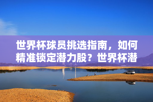 世界杯球员挑选指南，如何精准锁定潜力股？世界杯潜力股精准挑选指南