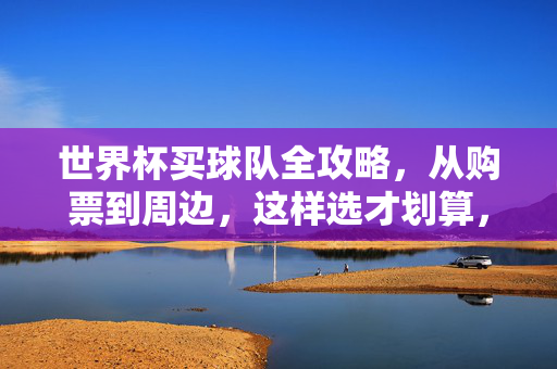 世界杯买球队全攻略,从购票到周边,这样选才划算,世界杯球队全攻略,从购票到周边,这样选才划算
