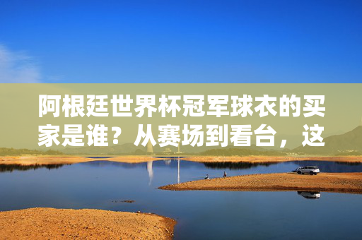 阿根廷世界杯冠军球衣的买家是谁?从赛场到看台,这件球衣藏着多少故事,阿根廷世界杯冠军球衣,买家是谁?赛场到看台的故事