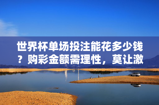 世界杯单场投注能花多少钱？购彩金额需理性，莫让激情变负担，世界杯单场投注能花多少钱？理性购彩莫让激情变负担
