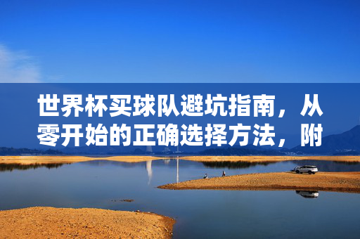 世界杯买球队避坑指南，从零开始的正确选择方法，附视频教程详解，世界杯买球队避坑指南，从零开始的正确选择方法（附视频教程详解）