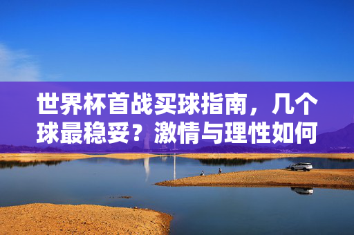 世界杯首战买球指南，几个球最稳妥？激情与理性如何平衡？世界杯首战买球指南，几个球最稳妥？激情与理性如何平衡？