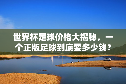世界杯足球价格大揭秘,一个正版足球到底要多少钱?世界杯足球价格大揭秘,正版足球到底要多少钱?