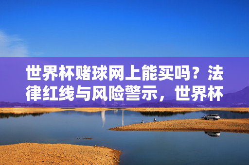 世界杯赌球网上能买吗?法律红线与风险警示,世界杯赌球网上购买,法律红线与风险警示