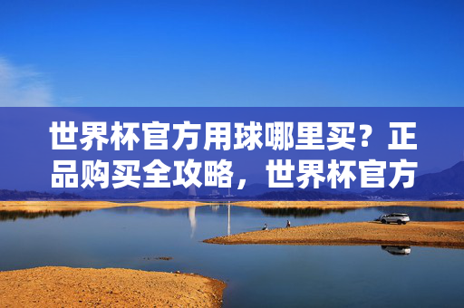 世界杯官方用球哪里买?正品购买全攻略,世界杯官方用球正品购买全攻略