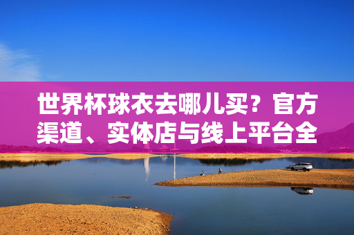 世界杯球衣去哪儿买?官方渠道、实体店与线上平台全攻略,世界杯球衣购买全攻略,官方渠道、实体店与线上平台指南