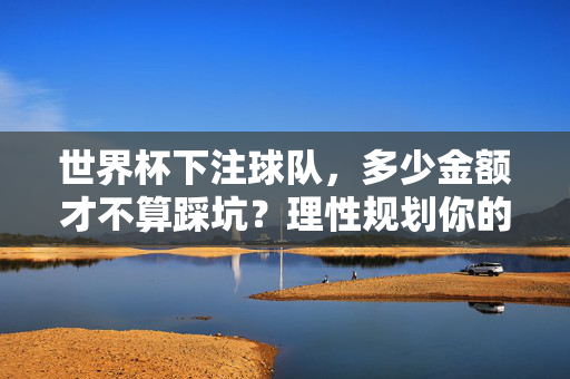 世界杯下注球队,多少金额才不算踩坑?理性规划你的观赛参与感,世界杯下注金额指南,理性规划,告别踩坑