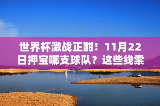 世界杯激战正酣！11月22日押宝哪支球队？这些线索帮你决策，世界杯激战正酣！11月22日押宝球队决策线索