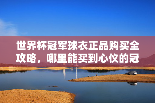 世界杯冠军球衣正品购买全攻略，哪里能买到心仪的冠军战袍？世界杯冠军球衣正品购买全攻略，心仪战袍选购指南