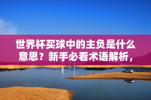 世界杯买球中的主负是什么意思？新手必看术语解析，世界杯买球主负是什么意思？新手必看术语解析