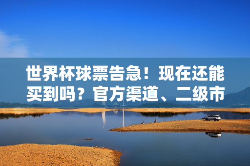 世界杯球票告急!现在还能买到吗?官方渠道、二级市场全解析与防坑指南,世界杯球票告急!官方渠道与二级市场购买全解析及防坑指南