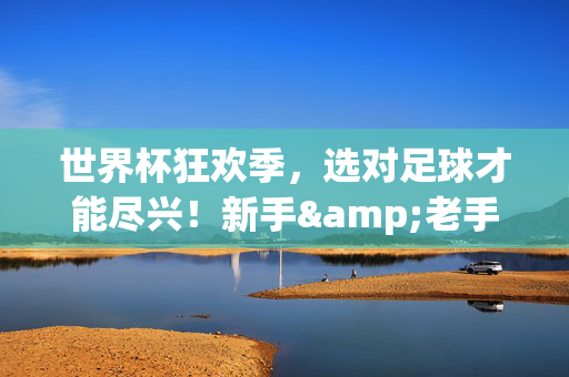世界杯狂欢季,选对足球才能尽兴!新手&老手必看购球指南,世界杯狂欢季,新手老手必看选对足球购球指南