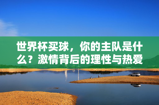 世界杯买球，你的主队是什么？激情背后的理性与热爱，世界杯买球，当主队激情遇上理性热爱
