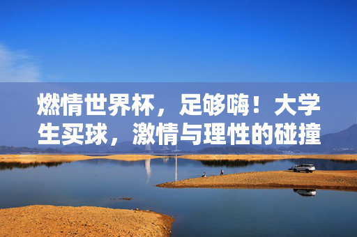 燃情世界杯，足够嗨！大学生买球，激情与理性的碰撞，大学生世界杯买球，激情与理性的碰撞