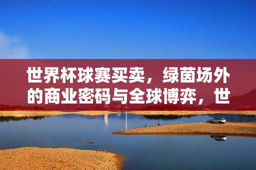 世界杯球赛买卖，绿茵场外的商业密码与全球博弈，世界杯，绿茵场外的商业密码与全球博弈