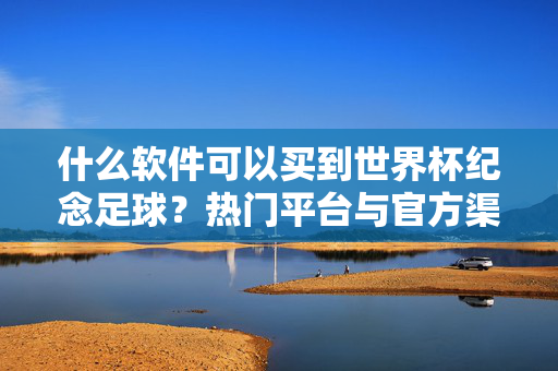 什么软件可以买到世界杯纪念足球？热门平台与官方渠道全解析，世界杯纪念足球购买平台与官方渠道全解析