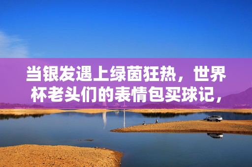 当银发遇上绿茵狂热，世界杯老头们的表情包买球记，银发世界杯，老头们的表情包买球狂热