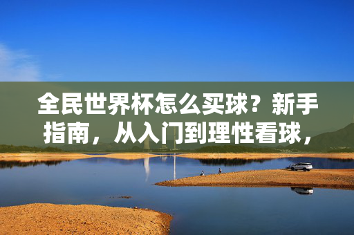 全民世界杯怎么买球？新手指南，从入门到理性看球，全民世界杯买球新手指南，从入门到理性看球