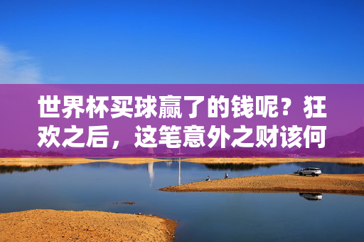 世界杯买球赢了的钱呢？狂欢之后，这笔意外之财该何去何从？世界杯买球赢了狂欢，意外之财何去何从？