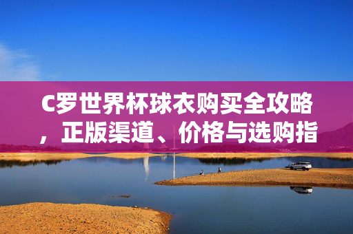 C罗世界杯球衣购买全攻略，正版渠道、价格与选购指南，C罗世界杯球衣购买全攻略