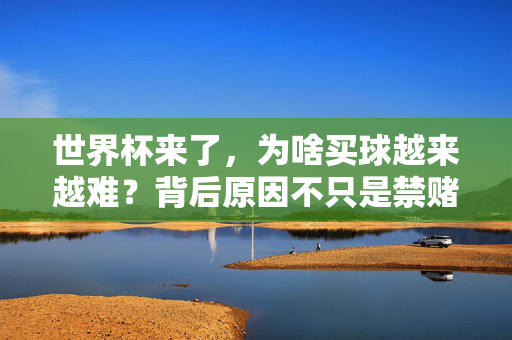世界杯来了，为啥买球越来越难？背后原因不只是禁赌这么简单，世界杯买球为何越来越难？背后原因不止禁赌