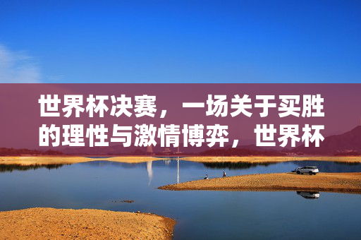 世界杯决赛，一场关于买胜的理性与激情博弈，世界杯决赛，理性与激情的买胜博弈