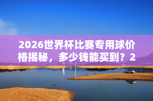 2026世界杯比赛专用球价格揭秘，多少钱能买到？2026世界杯比赛专用球价格揭秘，多少钱能买到？