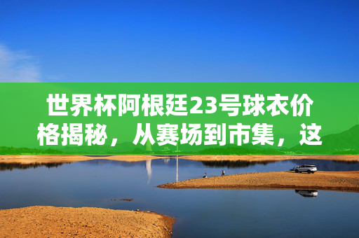 世界杯阿根廷23号球衣价格揭秘，从赛场到市集，这件球衣值多少钱？世界杯阿根廷23号球衣价格揭秘，从赛场到市集，这件球衣值多少钱？