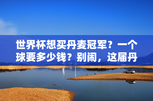 世界杯想买丹麦冠军？一个球要多少钱？别闹，这届丹麦队的故事，比球更值！丹麦队的故事，比世界杯的球还值