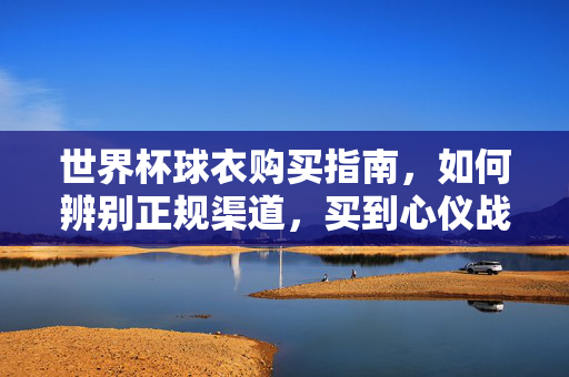 世界杯球衣购买指南，如何辨别正规渠道，买到心仪战袍？世界杯球衣购买指南，辨正规渠道，选心仪战袍
