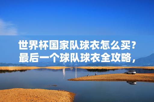 世界杯国家队球衣怎么买？最后一个球队球衣全攻略，世界杯国家队球衣购买全攻略