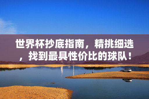 世界杯抄底指南,精挑细选,找到最具性价比的球队!世界杯抄底指南,精挑最具性价比球队