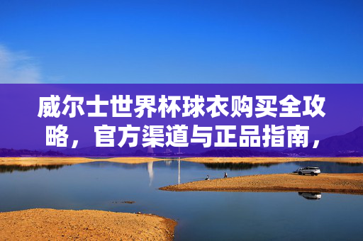 威尔士世界杯球衣购买全攻略，官方渠道与正品指南，威尔士世界杯球衣官方正品购买全攻略